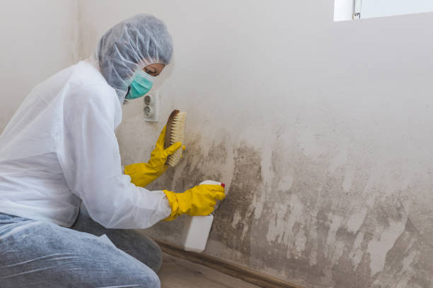 Best Bathroom Mold Remediation in Moriarty, NM
